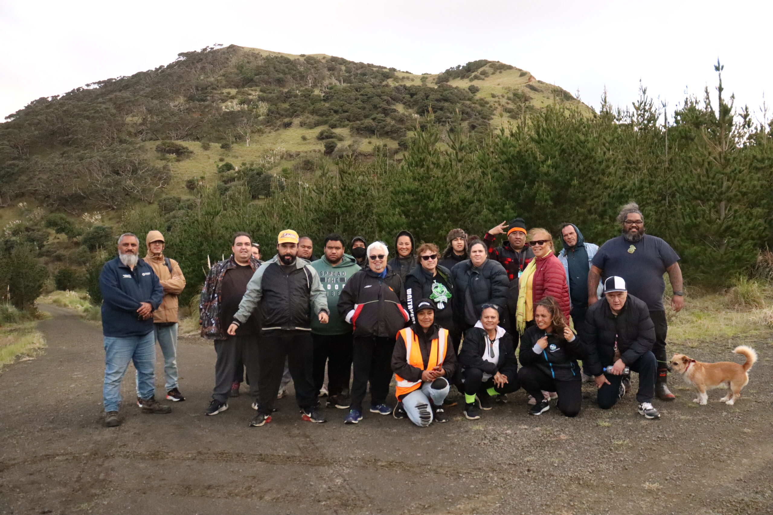 Te Kōtuku Ki Te Rangi activity